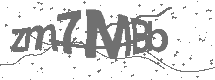 .com/builder/captcha/index/