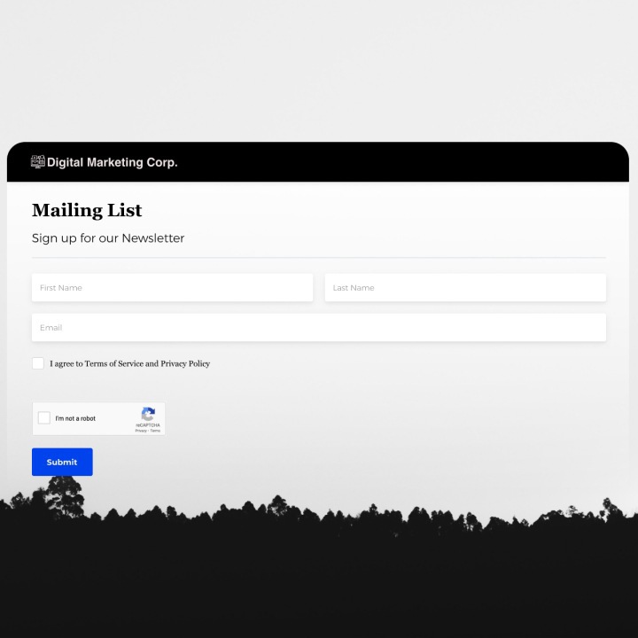 Mailing List Form