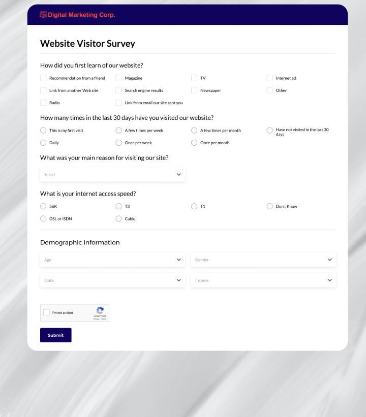 Website Visitor Survey