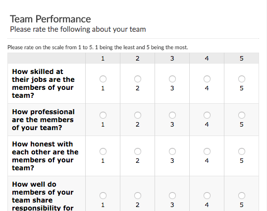 Team Performance Survey