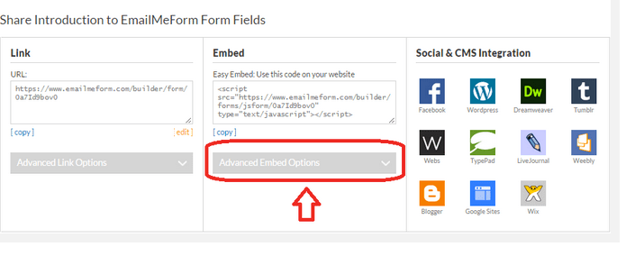online form with video embed