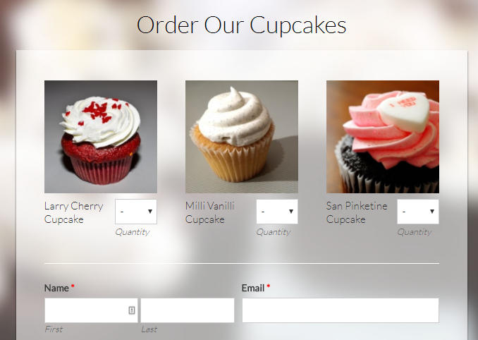 payment form attributes