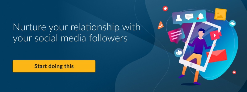 building social media following